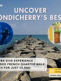 Cultural & Food Tours