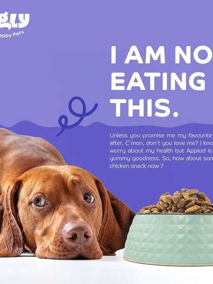 Zigly - Pet Supplies Our Exclusive Products photo 36