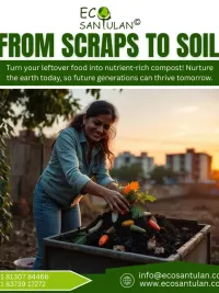 Waste Management Solutions