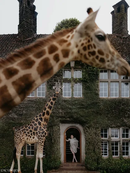 A playful and dynamic shot from our Giraffe Manor series. The giraffe's head moving into the frame adds a sense of spontaneous joy and makes the photo feel alive and full of personality.