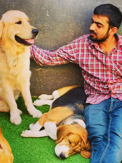 This is my favorite part of the day. After a lot of play, it's time for cuddles and quiet time. I make sure every dog, whether they're energetic or shy, gets the personal attention and affection they need to feel secure and loved.