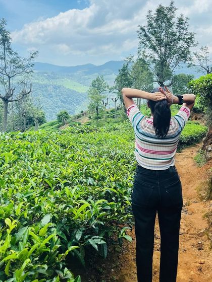 Soaking in the view of the tea gardens. It's a moment to pause, breathe, and appreciate the beauty of nature.