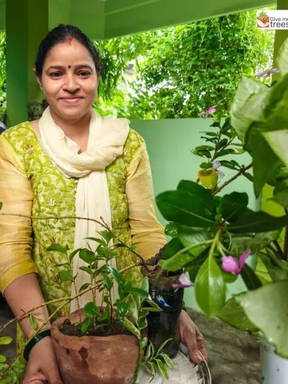 A volunteer holds up a tray of saplings she has donated. Community participation in our collection drives is essential, turning individual gardening efforts into a collective force for reforestation.