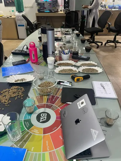 A view of our cupping and roasting session setup. You can see green beans, a laptop for notes, and the flavor wheel, all essential tools for understanding coffee.
