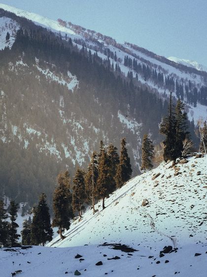 Himalayan Escapes: Kashmir & Spiti photo 9