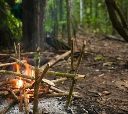 A close-up of a small, well-built campfire used for cooking and warmth during a survival training exercise. We teach practical techniques for thriving in the wild.