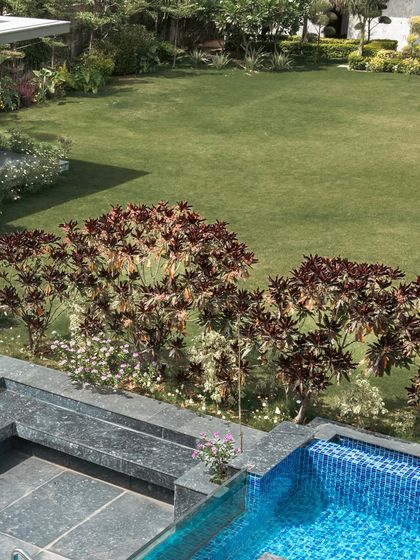 Lush Garden Sanctuaries photo 7