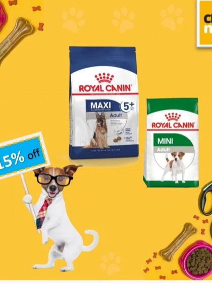 Royal Canin is a top seller for a reason. I carry their breed-specific and size-specific formulas, like Maxi Adult for large breeds and Mini Adult for smaller dogs.