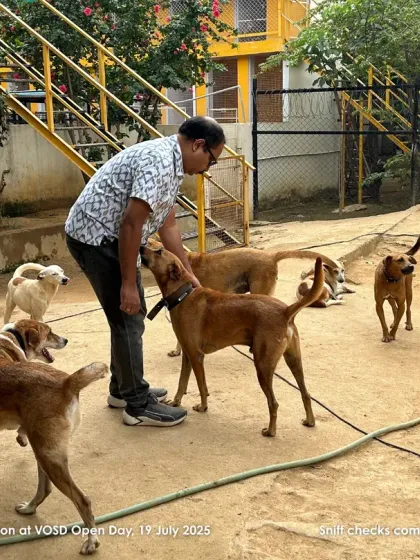 Sniff checks complete. A new visitor, Sumanta, gets the official welcome from our curious and friendly residents.