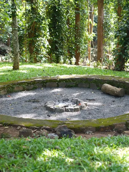 A wide shot of the rustic fire pit in its woodland setting, surrounded by a low stone wall and a carpet of green grass.