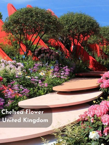 The Chelsea Flower Show in the UK is the pinnacle of cutting-edge garden and floral design. The innovative use of materials and sculptural forms here is a constant source of inspiration for my curriculum.