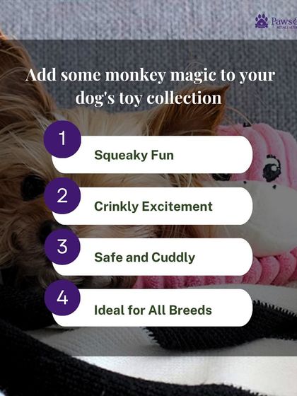 PawsnCollars - Pet Supplies Playtime & Enrichment Toys photo 5