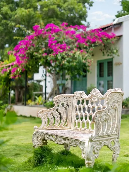 A beautiful, ornate white bench sits on the lawn of Z Farms, with a blooming bougainvillea tree in the background. This romantic detail creates a perfect photo opportunity and a place for quiet contemplation.