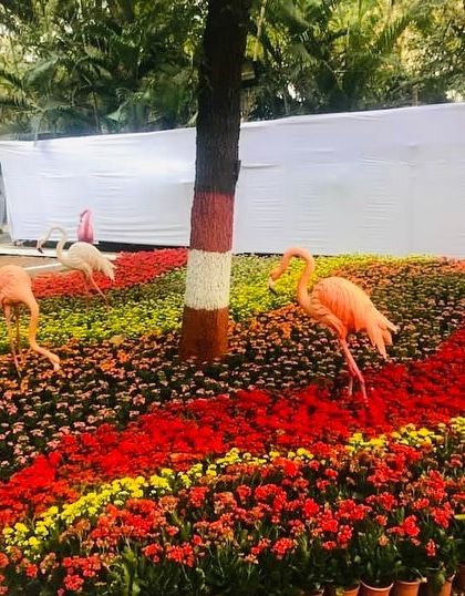 Ratnashri Landscapers - Large-Scale Event & Temporary Landscaping Festival & Wedding Floral Concepts photo 10