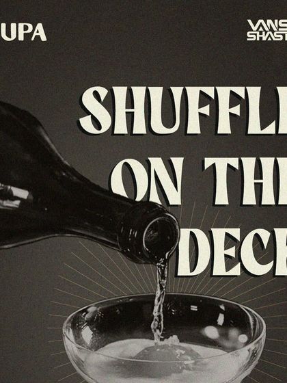 Vanshi Shastrii - Music Event Curation Major Gigs & Club Nights photo 8