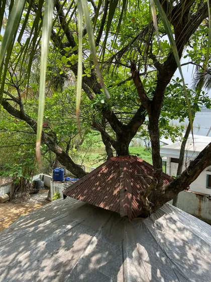 Welcome to our peaceful, leafy haven. Our studio is intentionally built to coexist with nature, providing a tranquil escape from the city where you can connect with creativity, our artisan family, and the environment.