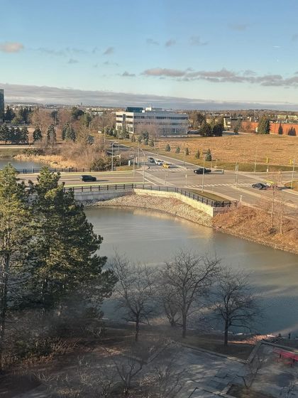 An establishing shot of the college campus area, providing context for the "college life" content.