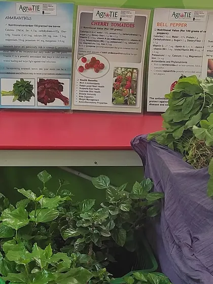 We are so proud of our students from HCC who hosted their own farmers market. After learning sustainable practices on our urban farm, they grew and marketed their own leafy greens, plants, and vegetables.