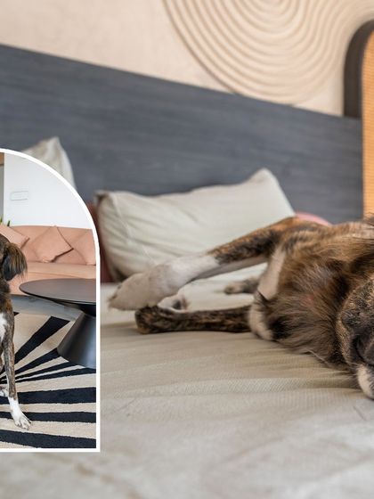 A collage showing the two sides of Olive the Indie: the poised model and the goofy girl rolling on the bed. At-home shoots capture it all.