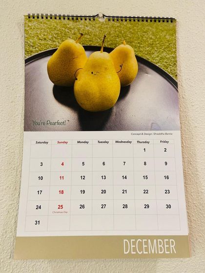 Shraddhadoodles - Custom Art & Merchandise A Look Back: Past Calendars photo 17