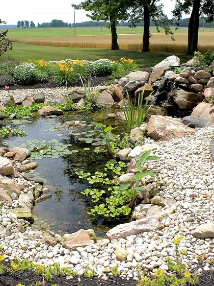 I enjoy building landscape ponds that look natural. For this one, I used a mix of boulders and smaller stones to create a gentle waterfall and a healthy environment for the water lilies and other aquatic plants.