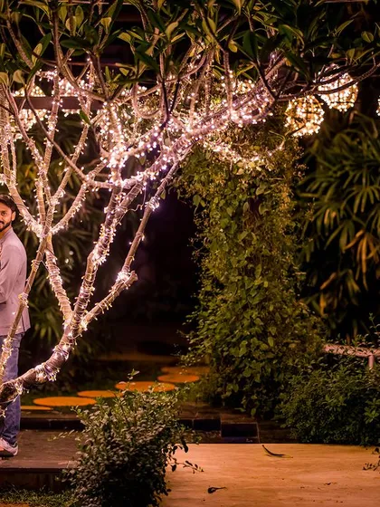 A wide shot of the garden at night, with the illuminated trees creating a magical and expansive backdrop.