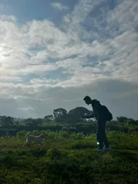 Dog Walking & Adventure Hikes