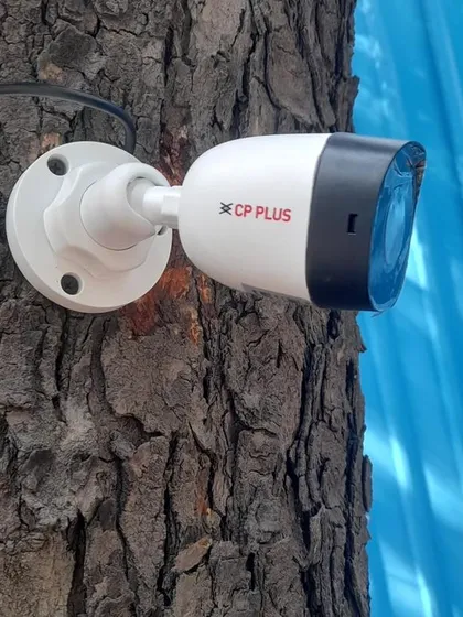 A CP Plus bullet camera installed on a tree trunk, showing the versatile installation options we can provide for unique situations.
