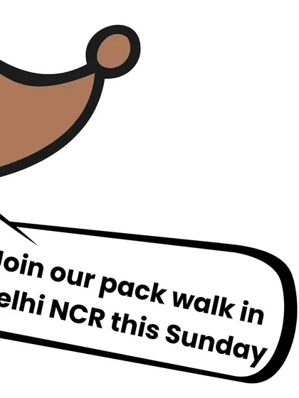 A call to join our pack walk in Delhi NCR. We're taking a long, scenic walk through Sanjay Van.