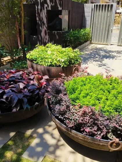 Three large, rustic metal planters filled with contrasting foliage create a stunning and low-maintenance entryway feature.