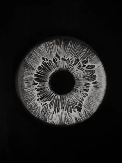 A detailed drawing of an iris. This was part of my 30-day challenge and took about 12 hours to complete.