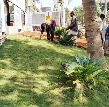 This is a mount garden I created. It involves building up the soil to create a small hill or slope, which is then covered in lawn for a 3D effect.