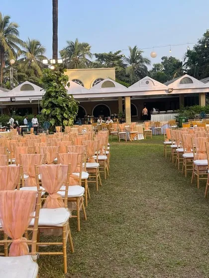 Rows of chairs with peach-colored sashes ready for a garden ceremony. This simple detail adds a touch of elegance and color to the outdoor setting.