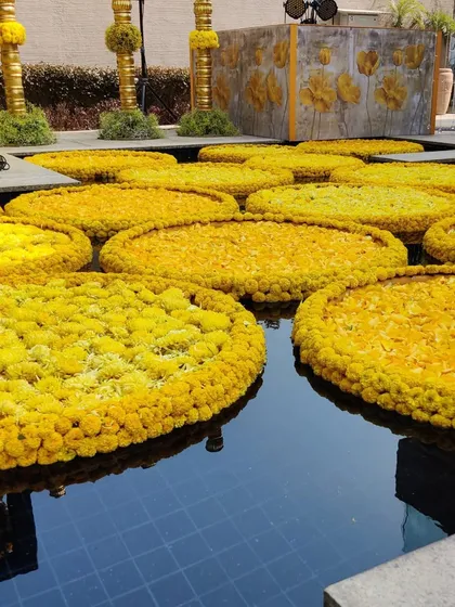 Floating arrangements of yellow flowers in a pool, a simple yet beautiful detail that added to the festive ambiance of this Haldi ceremony.