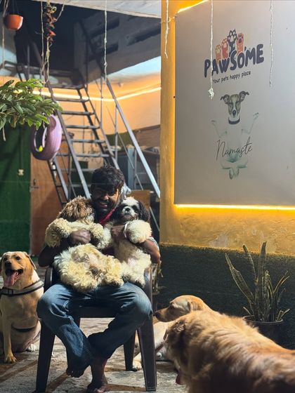 A lap full of fluff and happiness. I'm surrounded by some of our smallest guests, all wanting a cuddle at the same time.