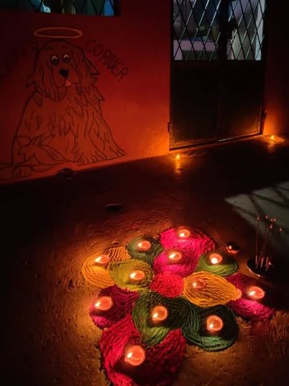 PetStepin - Pet-Friendly Events Quiet Zones for Noisy Festivals photo 17