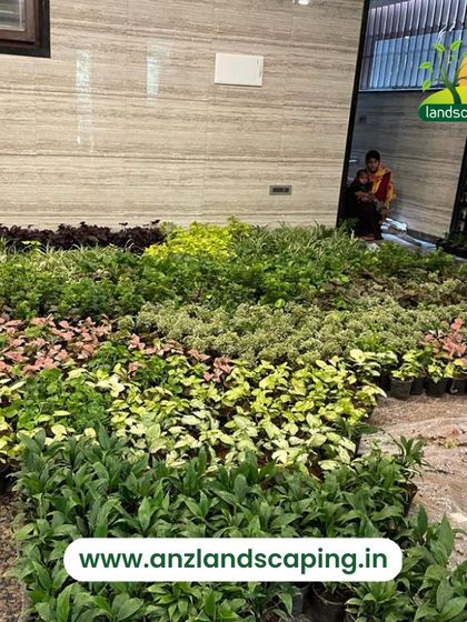 ANZ Landscaping - Vertical Garden Installation The Build Process: From Frame to Finish photo 5