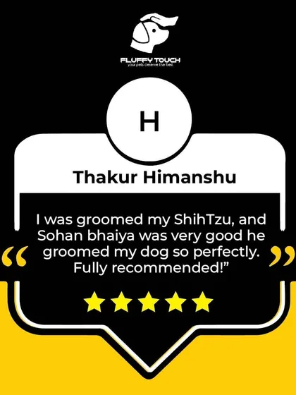 Another fully recommended review! Thakur Himanshu was thrilled with how perfectly 'Sohan bhaiya' groomed his Shih Tzu. We pride ourselves on delivering a perfect grooming experience every time.