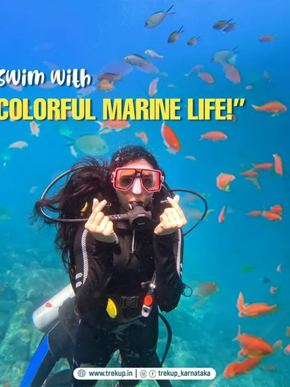 Ever wondered what it's like to breathe underwater? On our Netrani Island scuba trips, you can swim with vibrant schools of fish just like this. We provide full training with certified instructors, making it perfect for beginners.