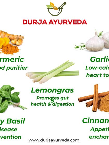 This graphic showcases some of the powerful herbs we use in our treatments. From turmeric as a blood purifier to lemongrass for gut health, nature provides the foundation for our healing.