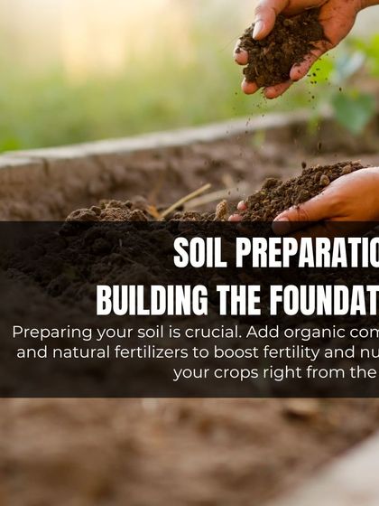 Building the foundation of your garden is crucial. I enrich the soil by adding organic compost and natural fertilizers to boost fertility and nurture crops from the very start.