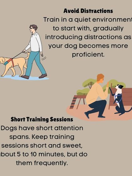 Furever Safe - Pet Training Our Training Approach photo 4