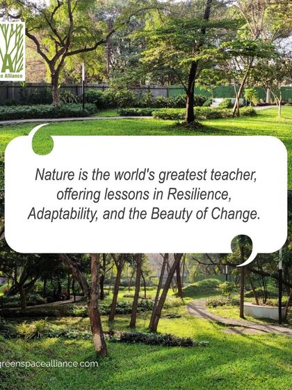 We believe that nature is the world's greatest teacher. It offers lessons in resilience, adaptability, and the beauty of change, principles that we embed in all of our landscape designs.