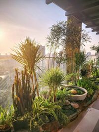 Landscape & Garden Design