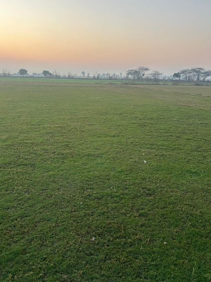 The sun sets over my fields of natural grass. This is where the journey of a beautiful lawn begins, right here at my farm in Delhi.