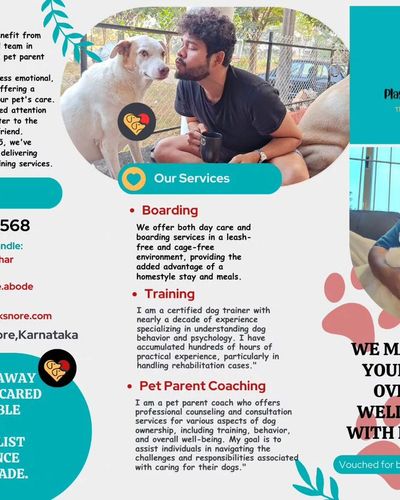 Dog Owner Coaching