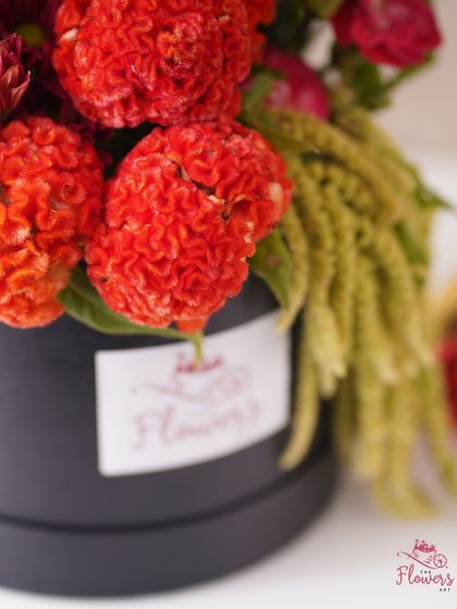 A macro shot of the 'Autumn Glow' box, focusing on the unique, brain-like texture of the red celosia flower. This highlights the variety of exotic and interesting blooms I incorporate into my designs.