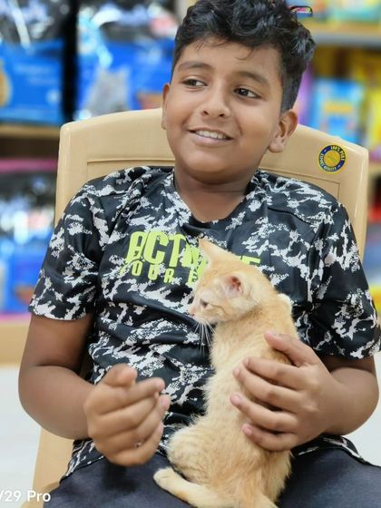 Oh My Dawg - Animal Welfare & Adoption Services Our Adoption Drives photo 4