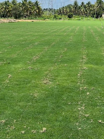 Rakshith Landscaping - Landscape Design & Installation Lush Lawns: Natural & Artificial photo 33