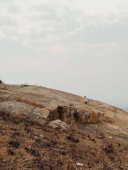 Miles To Trek - Corporate Team Outings & Offsites Adventure Treks Around Bangalore photo 75